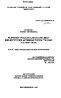 Остякова, Марина Евгеньевна. Морфологическая характеристика биологически активных точек грудной клетки собак: дис. кандидат биологических наук: 16.00.02 - Патология, онкология и морфология животных. Благовещенск. 2007. 196 с.