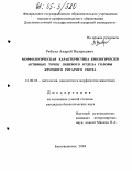 Рябуха, Андрей Валерьевич. Морфологическая характеристика биологически активных точек лицевого отдела головы крупного рогатого скота: дис. кандидат биологических наук: 16.00.02 - Патология, онкология и морфология животных. Благовещенск. 2004. 167 с.