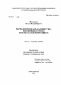 Пиминова, Оксана Владимировна. Морфологическая характеристика поясничных стволов в постнатальном онтогенезе: дис. кандидат медицинских наук: 14.00.02 - Анатомия человека. Санкт-Петербург. 2004. 197 с.