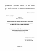 Никитин, павел Николаевич. Морфологические изменения нервных стволов и стромы поджелудочной железы при хроническом панкреатите с болевым синдромом: дис. кандидат медицинских наук: 14.03.02 - Патологическая анатомия. Москва. 2012. 101 с.