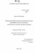 Андреева, Юлия Викторовна. Морфологический анализ палеарктических видов малярийных комаров комплекса "Anopheles maculipennis" (Diptera, Culicidae): дис. кандидат биологических наук: 03.00.08 - Зоология. Томск. 2007. 160 с.