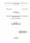 Дюсенова, Алтын Акмырзаевна. Морфологическое обоснование признаков полового диморфизма у женщин-спортсменок: дис. кандидат медицинских наук: 14.00.02 - Анатомия человека. . 0. 123 с.