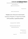 Исайчев, Александр Николаевич. Морфология и биология планктонной полихеты Pelagobia cf. longicirrata Greeff, 1879 (Annelida, Lopadorrhynchidae): дис. кандидат наук: 03.02.04 - Зоология. Москва. 2015. 114 с.
