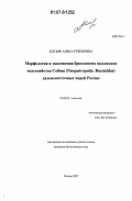 Косьян, Алиса Рубеновна. Морфология и таксономия брюхоногих моллюсков подсемейства Colinae (Neogastropoda: Buccinidae) дальневосточных морей России: дис. кандидат биологических наук: 03.00.08 - Зоология. Москва. 2007. 231 с.