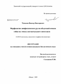 Чумаков, Виктор Викторович. Морфология лимфатического русла ободочной кишки собак на этапах постнатального онтогенеза: дис. кандидат биологических наук: 16.00.02 - Патология, онкология и морфология животных. Абакан. 2009. 146 с.