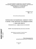 Благова, Наталья Вениаминовна. Морфология мотонейронов спинного мозга в норме и при перерезке седалищного нерва у взрослой крысы: экспериментально-морфологическое исследование: дис. кандидат биологических наук: 03.03.04 - Клеточная биология, цитология, гистология. Нижний Новгород. 2011. 149 с.