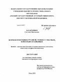 Захарченко, Светлана Николаевна. Морфология мышц грудной стенки у собачьих, кошачьих и зайцевых: дис. кандидат ветеринарных наук: 06.02.01 - Разведение, селекция, генетика и воспроизводство сельскохозяйственных животных. Омск. 2010. 176 с.