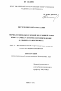 Щеглов, Николай Алексеевич. Морфология поджелудочной железы бройлеров кросса "Смена-7" в норме и при применении "Гамавита" и "Фоспренила": дис. кандидат биологических наук: 06.02.01 - Разведение, селекция, генетика и воспроизводство сельскохозяйственных животных. Брянск. 2012. 159 с.