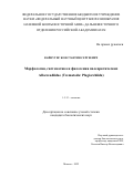 Вайнутис Константин Сергеевич. Морфология, систематика и филогения палеарктических Allocreadiidae (Trematoda: Plagiorchiida): дис. кандидат наук: 00.00.00 - Другие cпециальности. ФГБУН Институт проблем экологии и эволюции им. А.Н. Северцова Российской академии наук. 2022. 175 с.