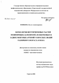 Фомкина, Ольга Александровна. Морфология внутричерепных частей позвоночных частей позвоночных, базилярной, мозжечковых и задних мозговых артерий у взрослых людей различного возраста и пола: дис. кандидат медицинских наук: 14.00.02 - Анатомия человека. Волгоград. 2006. 162 с.