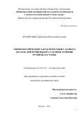 Исмаилова Джавгарат Магомедрасуловна. Морфометрические характеристики глазного дна как критерии выбора тактики лечения ретинобластомы: дис. кандидат наук: 14.01.07 - Глазные болезни. ФГБУ «Национальный медицинский исследовательский центр глазных болезней имени Гельмгольца» Министерства здравоохранения Российской Федерации. 2021. 112 с.