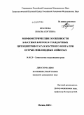 Краснова, Любовь Сергеевна. Морфометрические особенности бластных клеток в стандартных цитоцентрифугатах костного мозга при острых миелоидных лейкозах.: дис. кандидат медицинских наук: 14.00.29 - Гематология и переливание крови. Москва. 2009. 128 с.