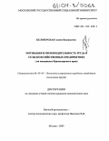 Белозерская, Алина Валерьевна. Мотивация и производительность труда в сельскохозяйственных предприятиях: На примере Краснодарского края: дис. кандидат экономических наук: 08.00.05 - Экономика и управление народным хозяйством: теория управления экономическими системами; макроэкономика; экономика, организация и управление предприятиями, отраслями, комплексами; управление инновациями; региональная экономика; логистика; экономика труда. Москва. 2004. 113 с.