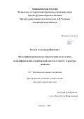 Костев Александр Иванович. Мультифункциональные наноматериалы на основе полидифениламин-2-карбоновой кислоты: синтез, структура, свойства: дис. кандидат наук: 00.00.00 - Другие cпециальности. ОАО «Всероссийский научный центр по безопасности биологически активных веществ». 2026. 165 с.