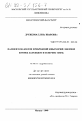 Дружкова, Елена Ивановна. Нанофитопланктон прибрежной зоны морей Северной Европы (Баренцево и Северное моря): дис. кандидат биологических наук: 03.00.18 - Гидробиология. Москва. 1999. 124 с.