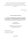 Качина Екатерина Викторовна. Наноструктурированные композиты на основе многостенных углеродных нанотрубок, наполненные оксидами и гидроксидами переходных металлов: дис. кандидат наук: 02.00.04 - Физическая химия. ФГАОУ ВО «Национальный исследовательский Томский политехнический университет». 2022. 120 с.