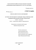 Берно-Беллекур, Игорь Валентинович. Научное обоснование организации специализированной медицинской помощи больным эпилепсией: дис. кандидат медицинских наук: 14.00.18 - Психиатрия. Санкт-Петербург. 2008. 286 с.