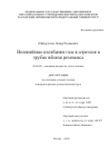 Шайдуллин Линар Радикович. Нелинейные колебания газа и аэрозоля в трубах вблизи резонанса: дис. кандидат наук: 01.02.05 - Механика жидкости, газа и плазмы. ФГАОУ ВО «Казанский (Приволжский) федеральный университет». 2019. 117 с.