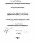 Перов, Виталий Иванович. Новые формы функционирования малых организаций как объектов управления: дис. кандидат экономических наук: 08.00.05 - Экономика и управление народным хозяйством: теория управления экономическими системами; макроэкономика; экономика, организация и управление предприятиями, отраслями, комплексами; управление инновациями; региональная экономика; логистика; экономика труда. Ставрополь. 2005. 200 с.