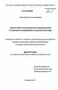 Малёв, Владимир Александрович. Обеспечение организационно-функциональной устойчивости предприятия в конкурентной среде: дис. кандидат экономических наук: 08.00.05 - Экономика и управление народным хозяйством: теория управления экономическими системами; макроэкономика; экономика, организация и управление предприятиями, отраслями, комплексами; управление инновациями; региональная экономика; логистика; экономика труда. Челябинск. 2007. 145 с.