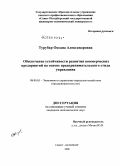 Турубар, Оксана Александровна. Обеспечение устойчивости развития коммерческих предприятий на основе предпринимательского стиля управления: дис. кандидат экономических наук: 08.00.05 - Экономика и управление народным хозяйством: теория управления экономическими системами; макроэкономика; экономика, организация и управление предприятиями, отраслями, комплексами; управление инновациями; региональная экономика; логистика; экономика труда. Санкт-Петербург. 2008. 184 с.
