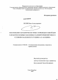 Волик, Иван Александрович. Обоснование параметров системы с взрыводоставкой руды для разработки мощных наклонных залежей применительно к условиям Малеевского рудника АО "Казцинк": дис. кандидат технических наук: 25.00.22 - Геотехнология(подземная, открытая и строительная). Санкт-Петербург. 2009. 128 с.