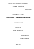 Цымбал Ирина Андреевна. Образ зарубежных стран в сознании российских граждан: дис. кандидат наук: 19.00.12 - Политическая психология. ФГБОУ ВО «Московский государственный университет имени М.В. Ломоносова». 2022. 239 с.