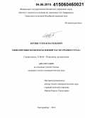 Берзин, Степан Васильевич. Офиолитовые комплексы южной части Среднего Урала: дис. кандидат наук: 25.00.04 - Петрология, вулканология. Екатеринбург. 2014. 216 с.