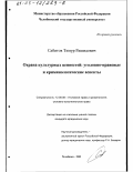 Сабитов, Тимур Рашидович. Охрана культурных ценностей: Уголовно-правовые и криминологические аспекты: дис. кандидат юридических наук: 12.00.08 - Уголовное право и криминология; уголовно-исполнительное право. Челябинск. 2002. 196 с.