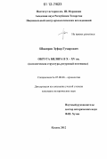 Шакиров, Зуфар Гумарович. Округа Биляра в X - XV вв.: поселенческая структура, ресурсный потенциал: дис. кандидат исторических наук: 07.00.06 - Археология. Казань. 2012. 267 с.