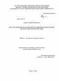 Курган, Андрей Андреевич. Онтология времени в поле интеграции феноменологии и диалектической философии: дис. кандидат философских наук: 09.00.01 - Онтология и теория познания. Томск. 2010. 160 с.
