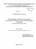 Сальников, Виктор Викторович. Организационно-экономические факторы и направления развития малых сельскохозяйственных предприятий: по материалам Краснодарского края: дис. кандидат наук: 08.00.05 - Экономика и управление народным хозяйством: теория управления экономическими системами; макроэкономика; экономика, организация и управление предприятиями, отраслями, комплексами; управление инновациями; региональная экономика; логистика; экономика труда. Краснодар. 2008. 184 с.