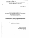 Киселёва, Наталья Владимировна. Организационно-экономические инструменты развития малого бизнеса в регионах: На примере Рязанской области: дис. кандидат экономических наук: 08.00.05 - Экономика и управление народным хозяйством: теория управления экономическими системами; макроэкономика; экономика, организация и управление предприятиями, отраслями, комплексами; управление инновациями; региональная экономика; логистика; экономика труда. Тамбов. 2003. 152 с.