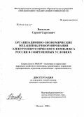 Васильев, Сергей Сергеевич. Организационно-экономические механизмы реформирования электроэнергетического комплекса России в современных условиях: дис. кандидат экономических наук: 08.00.05 - Экономика и управление народным хозяйством: теория управления экономическими системами; макроэкономика; экономика, организация и управление предприятиями, отраслями, комплексами; управление инновациями; региональная экономика; логистика; экономика труда. Москва. 2008. 141 с.