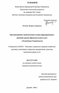 Катаева, Зумрад Амировна. Организационно-экономические основы формирования и развития рынка образовательных услуг в Республике Таджикистан: дис. кандидат экономических наук: 08.00.05 - Экономика и управление народным хозяйством: теория управления экономическими системами; макроэкономика; экономика, организация и управление предприятиями, отраслями, комплексами; управление инновациями; региональная экономика; логистика; экономика труда. Душанбе. 2006. 200 с.