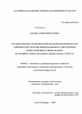 Панова, Дарья Николаевна. Организационно-экономический механизм формирования комплексной системы информационного обеспечения туристской индустрии в регионе: на примере Северо-западного федерального округа: дис. кандидат экономических наук: 08.00.05 - Экономика и управление народным хозяйством: теория управления экономическими системами; макроэкономика; экономика, организация и управление предприятиями, отраслями, комплексами; управление инновациями; региональная экономика; логистика; экономика труда. Санкт-Петербург. 2008. 138 с.