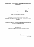 Бикбулатов, Вадим Радикович. Организационно-экономический механизм микроресурсной поддержки развития субъектов малого бизнеса: дис. кандидат экономических наук: 08.00.05 - Экономика и управление народным хозяйством: теория управления экономическими системами; макроэкономика; экономика, организация и управление предприятиями, отраслями, комплексами; управление инновациями; региональная экономика; логистика; экономика труда. Уфа. 2011. 169 с.