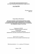 Егоров, Михаил Михайлович. Организационно-экономический механизм муниципального инкубационного управления малыми предприятиями промышленности региона: на примере города Улан-Удэ: дис. кандидат экономических наук: 08.00.05 - Экономика и управление народным хозяйством: теория управления экономическими системами; макроэкономика; экономика, организация и управление предприятиями, отраслями, комплексами; управление инновациями; региональная экономика; логистика; экономика труда. Москва. 2006. 204 с.