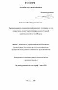 Ковшенков, Владимир Геннадьевич. Организационно-экономический механизм системных услуг оперативно-диспетчерского управления в Единой энергетической системе России: дис. кандидат экономических наук: 08.00.05 - Экономика и управление народным хозяйством: теория управления экономическими системами; макроэкономика; экономика, организация и управление предприятиями, отраслями, комплексами; управление инновациями; региональная экономика; логистика; экономика труда. Москва. 2006. 183 с.