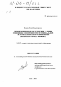 Федина, Нина Владимировна. Организационно-педагогические условия повышения эффективности муниципальной системы дошкольного образования: На примере города Липецка: дис. кандидат педагогических наук: 13.00.07 - Теория и методика дошкольного образования. Елец. 2005. 285 с.