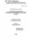 Большаков, Максим Александрович. Организационно-правовые основы материально-бытового и медицинского обеспечения заключенных в системе исправительно-трудовых лагерей: 1929-1956 гг.: дис. кандидат юридических наук: 12.00.01 - Теория и история права и государства; история учений о праве и государстве. Владимир. 2004. 160 с.