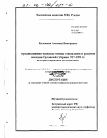 Булыжкин, Александр Викторович. Организационно-правовые основы становления и развития милиции Орловской губернии 1917 - 1928 гг.: Историко-правовое исследование: дис. кандидат юридических наук: 12.00.01 - Теория и история права и государства; история учений о праве и государстве. Москва. 2001. 232 с.