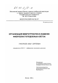 Григорьев, Илья Сергеевич. Организация микротрубочек в ламелле фибробластоподобных клеток: дис. кандидат биологических наук: 03.00.11 - Эмбриология, гистология и цитология. Москва. 1999. 136 с.