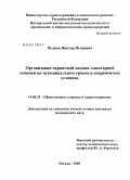 Чуднов, Виктор Петрович. Организация первичной медико-санитарной помощи на муниципальном уровне в современных условиях: дис. кандидат медицинских наук: 14.00.33 - Общественное здоровье и здравоохранение. Москва. 2005. 171 с.
