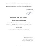 Ворожейкина Вера Александровна. Организация светоцветовой навигации в пространственной среде города: дис. кандидат наук: 00.00.00 - Другие cпециальности. «Казанский государственный архитектурно-строительный университет». 2025. 288 с.