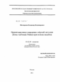 Шахпаронов, Владимир Владимирович. Ориентационное поведение озёрной лягушки (Rana ridibunda Pallas) при поиске водоёма: дис. кандидат биологических наук: 03.02.04 - Зоология. Москва. 2011. 275 с.