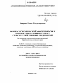 Уварова, Елена Владимировна. Оценка экономической эффективности и перспективы развития крупных сельскохозяйственных предприятий: На материалах сельскохозяйственных организаций Приобской зоны Алтайского края: дис. кандидат экономических наук: 08.00.05 - Экономика и управление народным хозяйством: теория управления экономическими системами; макроэкономика; экономика, организация и управление предприятиями, отраслями, комплексами; управление инновациями; региональная экономика; логистика; экономика труда. Барнаул. 2005. 196 с.