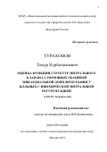 Турахонов Темур Курбоналиевич. Оценка функции структур митрального клапана с помощью тканевой микардиальной допплерографии у больных с ишемической митральной регургитацией: дис. кандидат наук: 14.01.05 - Кардиология. ФГБУ «Национальный медицинский исследовательский центр сердечно-сосудистой хирургии имени А.Н. Бакулева» Министерства здравоохранения Российской Федерации. 2020. 270 с.