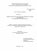 Круг, Элеонора Александровна. Оценка конкурентноспособности розничных торговых предприятий: на примере Амурской области: дис. кандидат экономических наук: 08.00.05 - Экономика и управление народным хозяйством: теория управления экономическими системами; макроэкономика; экономика, организация и управление предприятиями, отраслями, комплексами; управление инновациями; региональная экономика; логистика; экономика труда. Хабаровск. 2010. 259 с.