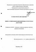 Грачев, Сергей Александрович. Оценка развития инновационной инфраструктуры на мезоуровне: дис. кандидат экономических наук: 08.00.05 - Экономика и управление народным хозяйством: теория управления экономическими системами; макроэкономика; экономика, организация и управление предприятиями, отраслями, комплексами; управление инновациями; региональная экономика; логистика; экономика труда. Владимир. 2013. 184 с.